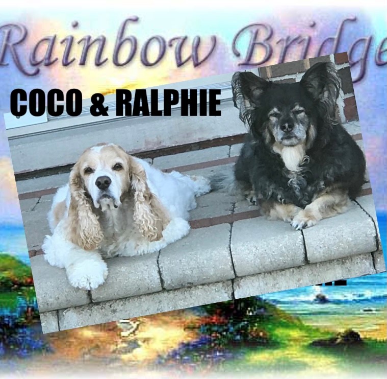 dogs-coco-and-ralphie