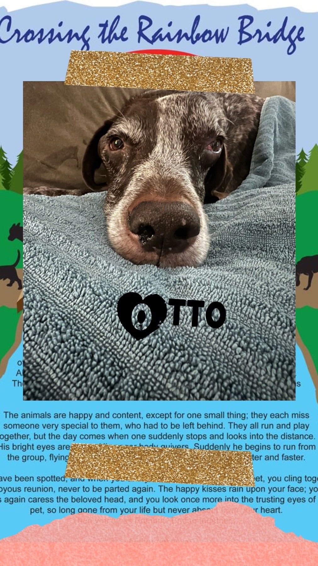 otto-the-dog