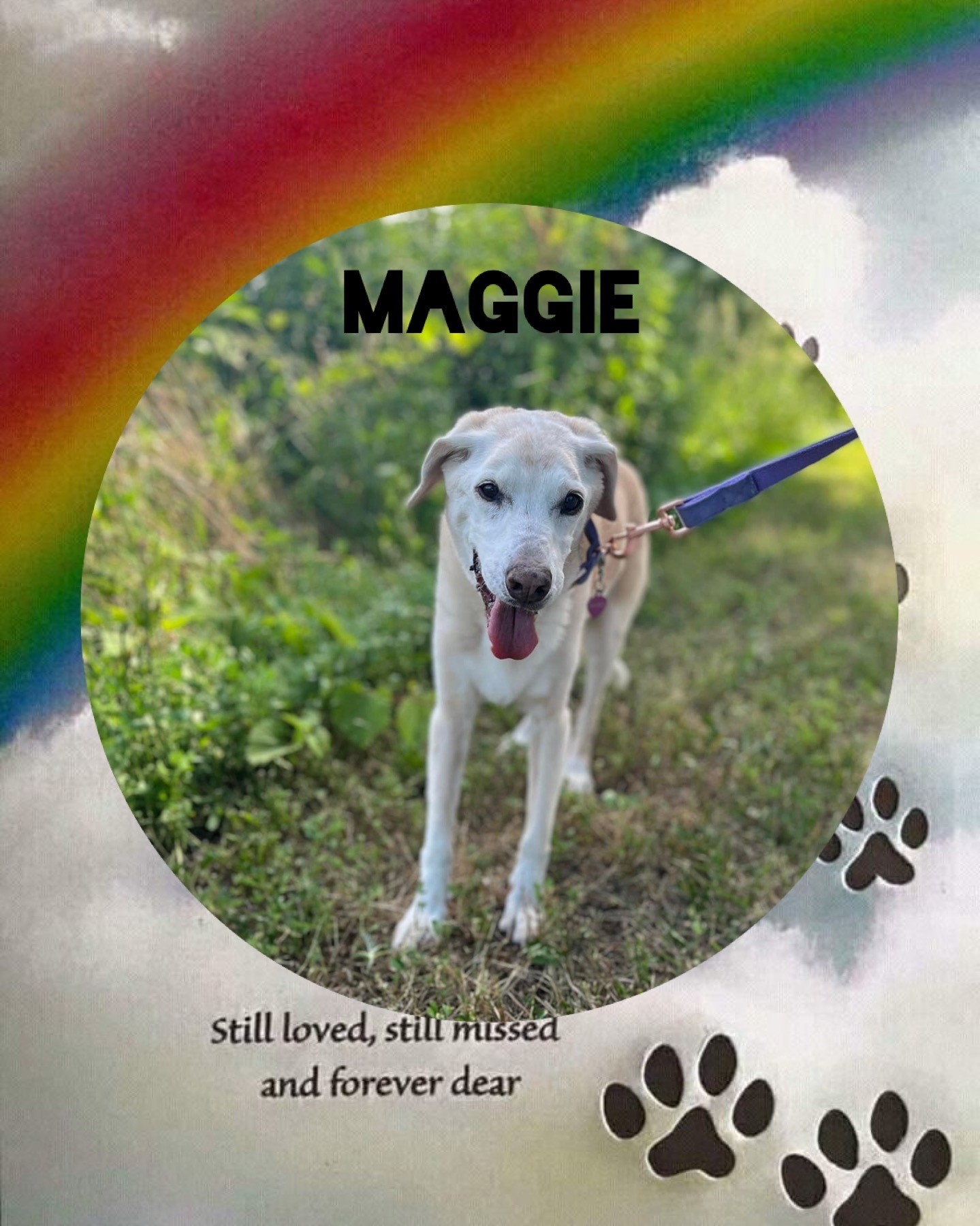 dog-named-maggie