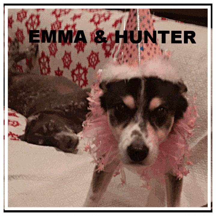 dogs-named-emma-and-hunter