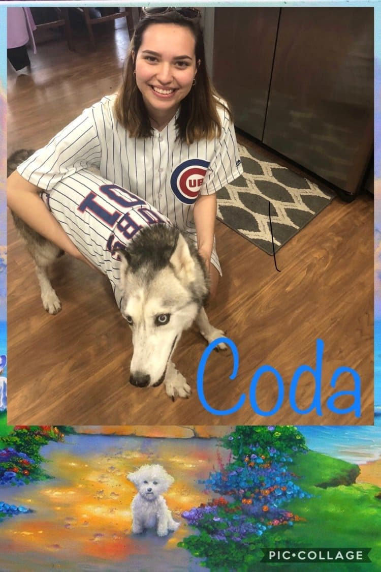 dog-coda