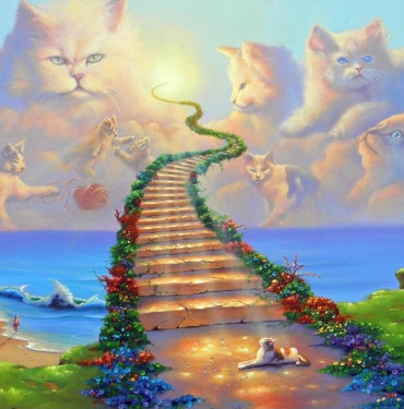 Rainbow Bridge stairway to heaven.