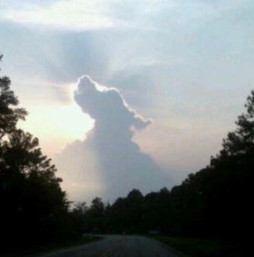 Dog cloud in the sky