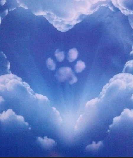paw print of clouds in the sky with a heart-shape of clouds around it.