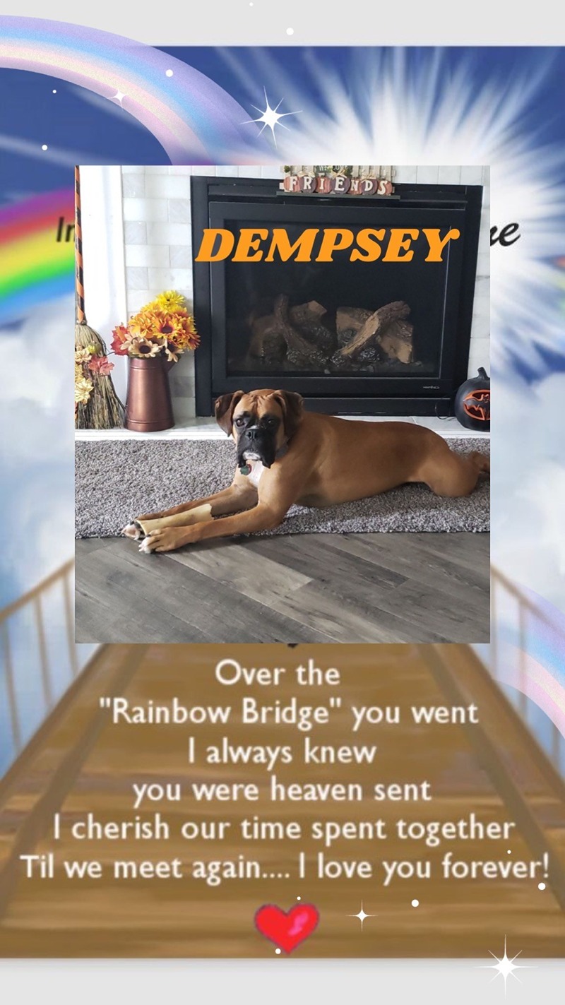 dog-dempsey