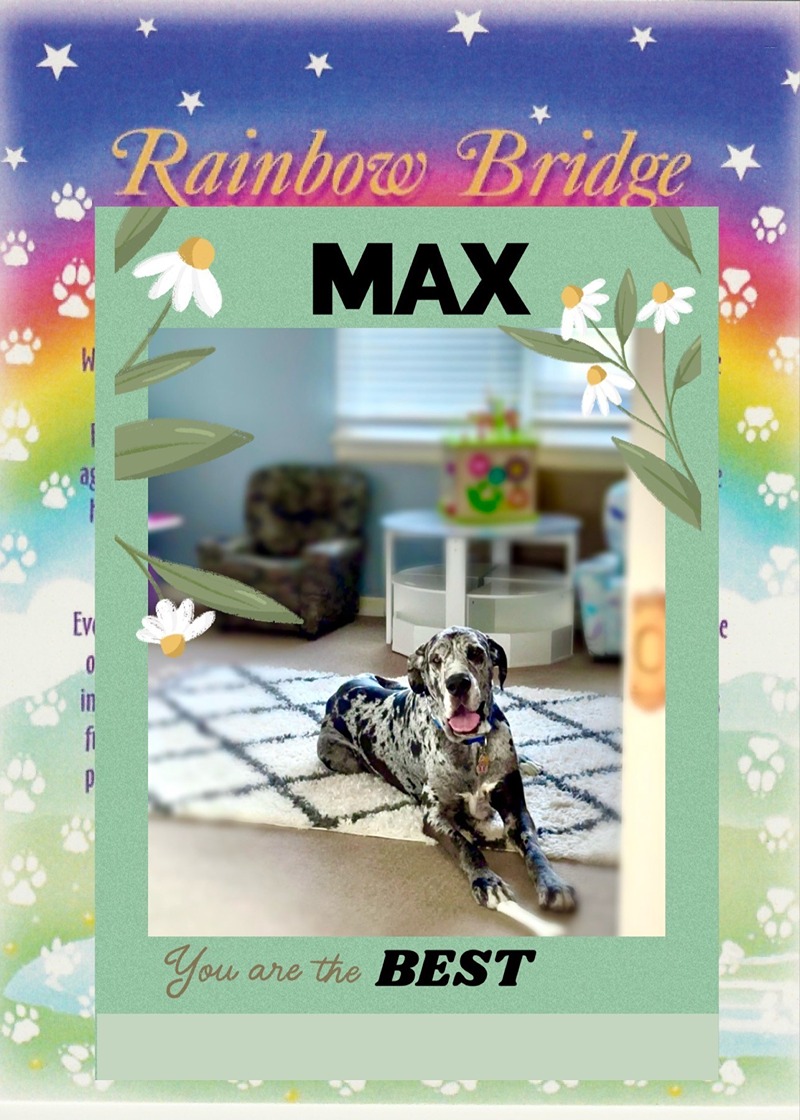 dog-max