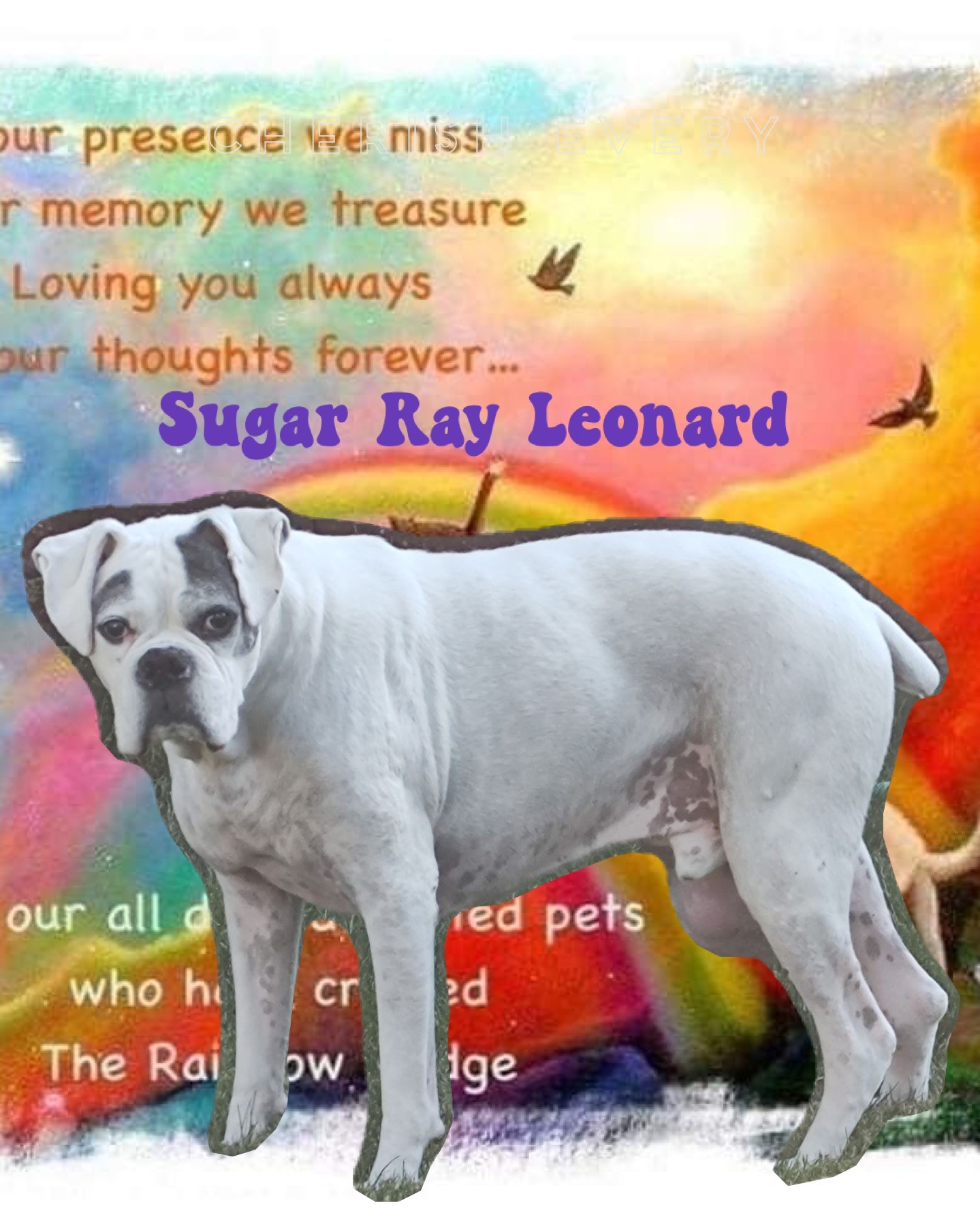 sugar-ray-leonard